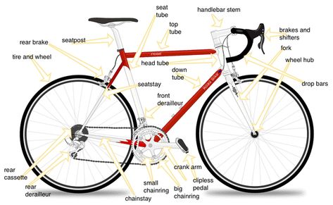 diagram of a bicycle with parts explained Road Bike Style, Road Bike Photography, Road Bike Girl, Specialized Road Bikes, Road Bike Gear, Bike Women, Trek Road Bikes, Road Bike Accessories, Best Road Bike