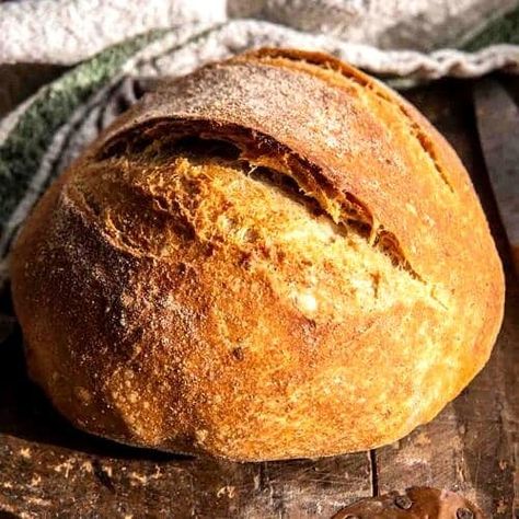 The Best (easiest) No Knead Bread - Half Baked Harvest Beginner Sourdough Bread, Sourdough Bread Healthy, Beginner Sourdough, Baker Bettie, Tartine Bread, Easy Sourdough Bread Recipe, Baking For Beginners, Baking School, Knead Bread