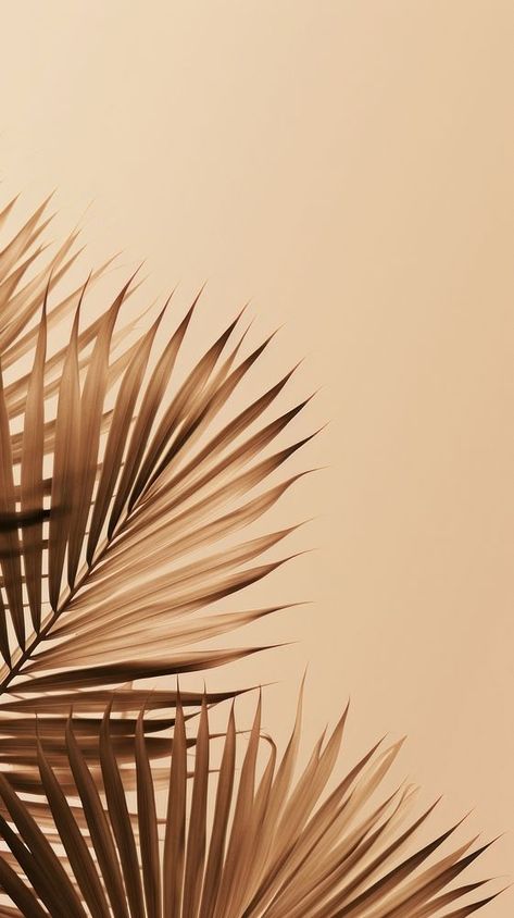 Palm leaves outdoors nature plant.  | premium image by rawpixel.com / Sasi Iphone Wallpaper Pineapple, Beige Wallpaper Iphone, Iphone Beige Wallpaper, Aesthetic Pineapple, Palm Leaves Decor, Palm Tree Aesthetic, Date Palms, Palm Tree Background, Logo Tree