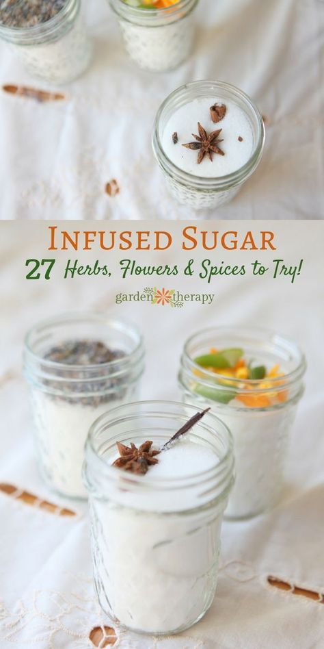 Infused sugar smells divine, tastes decadent, and makes a beautiful gift. I love to use it in baking, tea time, and it makes a wonderful homemade gift idea. Infused Salt, Homemade Gift Idea, Infused Sugar, Sugar Recipes, Flavored Salts, Diy Spices, Flavored Sugar, No Salt Recipes, Homemade Spices