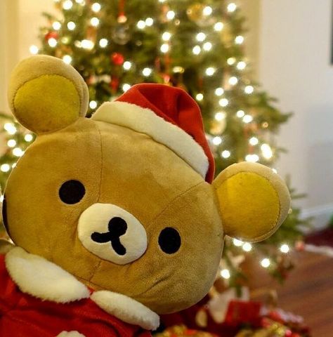 Rilakkuma Plushie, Rilakkuma Plush, Rilakkuma Wallpaper, Kawaii Plushies, Christmas Icons, Christmas Bear, Christmas Plush, Cute Stuffed Animals, All Things Cute