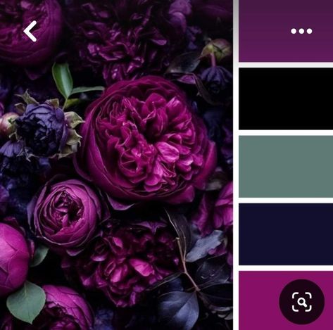 Dark Purple Complimentary Colors, Purple Pallete Color Combinations, Black And Purple Color Palette, Green And Purple Kitchen, Amethyst Color Palette, Gothic Color Palette, Purple Colour Combination, Purple Color Combinations, Jewel Tone Color Palette