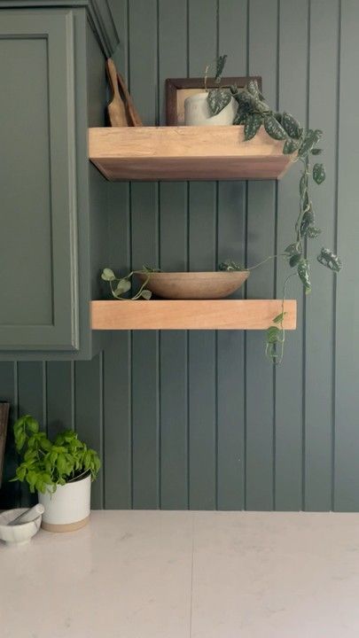 Link to my floating kitchen shelves 🥰 #LTKhome Green Kitchen Floating Shelves, Floating Kitchen Shelves, Olive Green Kitchen, Green Shelves, Kitchen Floating Shelves, Green Kitchen Cabinets, Floating Plants, Green Cabinets, Wood Floating Shelves