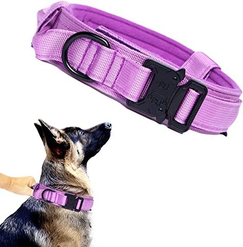 Dog Run Fence, Tactical Dog Collar, Police Equipment, Dog Barrier, Purple Dog Collar, Purple Dog, Wireless Dog Fence, Military Dog, Purple L