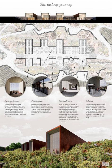 The Fynbos Wine Experience | Concept Architecture Project Wine House Architecture, Winery Architecture Projects, Wine Factory Architecture, Architectural Project Presentation, Winery Architecture Design, Master Plan Architecture Concept, Winery Layout, Wine Cellar Architecture, Factory Facade Design