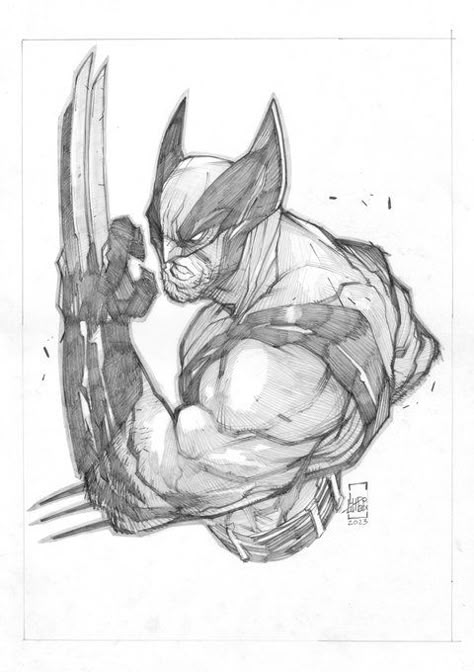 Ludo Lullabi, Wolverine Cartoon, Wolverine Comic Art, Superhero Sketches, Spiderman Comic Art, Comic Art Sketch, Wolverine Comic, Drawing Superheroes, Comic Book Drawing