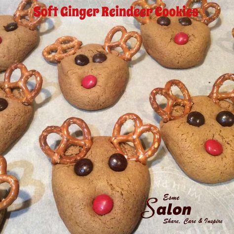 Looking for a last minute Christmas cookie for young and old?  I've got you covered, you have to try these Soft Ginger Reindeer Cookies Reindeer Gingerbread Cookies, Christmas Dessert Gifts, Gingerbread Reindeer, Pretzel Cookies, Soft Gingerbread Cookies, Reindeer Cookies, Pretzel Twists, Dessert Gifts, Holiday Snacks