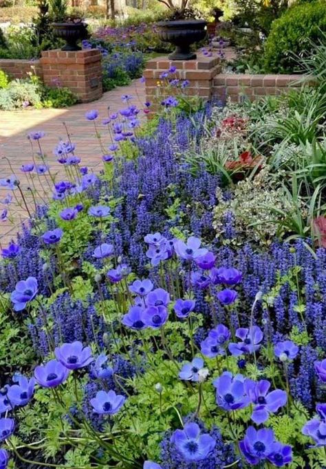 12 Low-Maintenance Garden Border Ideas Boarder Plants, Garden Border Ideas, Garden Border Plants, Gardening Decor, Annual Garden, Border Ideas, Garden Border, Short Plants, Herbaceous Border