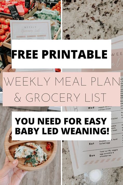 Baby Led Weaning Daycare Meals, Baby Led Weaning Recipes 6 Months, Weaning Plan, Baby Weaning Foods, Baby Meal Plan, Baby Led Weaning Breakfast, Baby Led Weaning First Foods, Weaning Foods, Meal Plan Grocery List