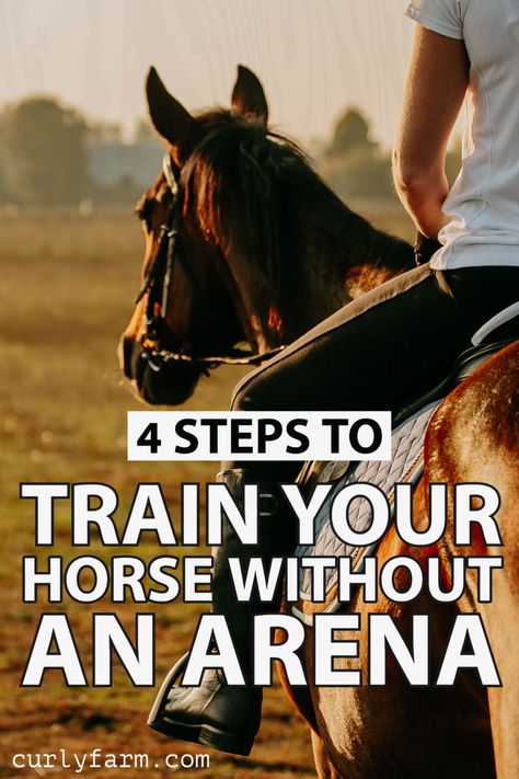 You don't need an arena to grow as a rider or to prepare your horse for most levels of horse show competition. Riding without an arena can help prevent both you and your horse from getting bored in the process of training. Riding Ideas, Horse Crochet, Trail Riding Horses, Horse Training Exercises, Horse Farm Ideas, Horseback Riding Tips, Horse Behavior, Riding Arena, Ranch Riding