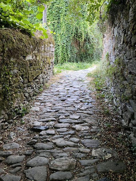 Cobblestone Road, I Love Nature, Nature Scenery, Holiday Homes, Love Nature, Walkway, Travel Aesthetic, Holiday Home, Beautiful Nature