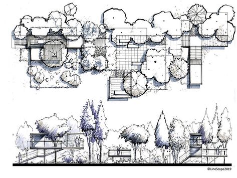 Landscape Design Drawings Sketches, Architectural Trees, Interior Architecture Sketch, Landscape Architecture Graphics, Landscape Architecture Plan, Landscape Design Drawings, Landscape Architecture Drawing, Architecture Drawing Plan, Interior Architecture Drawing