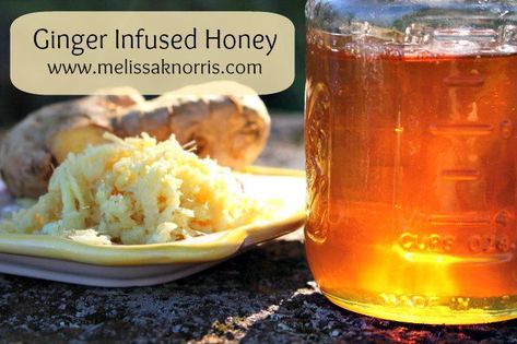 Benefits of ginger, plus how to make ginger infused honey for a powerful natural herbal remedy this cold season Honey Flavors, Herbs Healing, Benefits Of Ginger, Infused Honey, Ginger Honey, Ginger Benefits, Flavored Sugar, Bee Sting, Raw Desserts