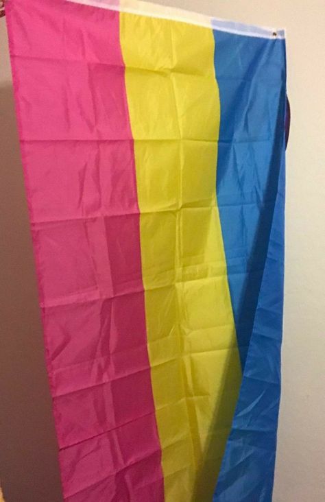 Flag On Wall, Bisexual Pride Flag, Pansexual Flag, Pansexual Pride, Lgbt Love, A Flag, Pride Parade, Rainbow Flag, Lgbtq Pride