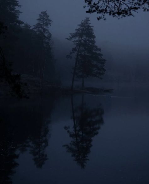 Blue Hour Rain, Rainy Gloomy Aesthetic, Muted Blue Aesthetic, Dark Gloomy Aesthetic, Lyla Core, Gloomy Aesthetic, Gothic Landscape, Dark Naturalism, Dark Forest Aesthetic