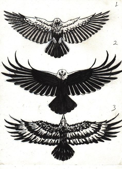 Small Eagle Tattoo, Crow Tattoo Design, Kunst Tattoos, Crow Tattoo, Raven Tattoo, Eagle Tattoos, Eagle Tattoo, Wings Tattoo, Birds Tattoo