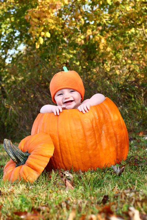 Pumpkin Patch Pictures Baby, Baby Pumpkin Pictures, Halloween Baby Pictures, Fall Baby Photos, Fall Baby Pictures, Pumpkin Patch Photoshoot, Pumpkin Patch Pictures, First Halloween Costumes, Baby Milestones Pictures