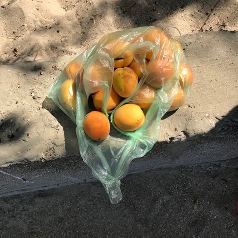 Hinata Shoyo Aesthetic, Bag Of Oranges, Hinata Shoyo, Beautiful Food, Summer Aesthetic, Photo Dump, Plastic Bag, Aesthetic Pictures, Summer Vibes