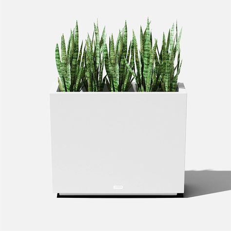 Amazon.com : Veradek Block Series Short Indoor/Outdoor Span Planter (24" H x 12" W x 30" L, White) : Patio, Lawn & Garden Styrofoam Insulation, Metal Planter Boxes, Rectangular Planters, Steel Planters, Plastic Planters, Front Entrance, Metal Planters, Front Entrances, Tall Plants