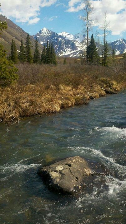 Along the South Fork Trail of the Eagle River near Eagle River, Alaska. Eagle River Alaska, Alaska Pictures, Mountain Streams, Scenic Places, Dream Trips, Mountain Stream, Breathtaking Places, Living In Alaska, Alaska Travel