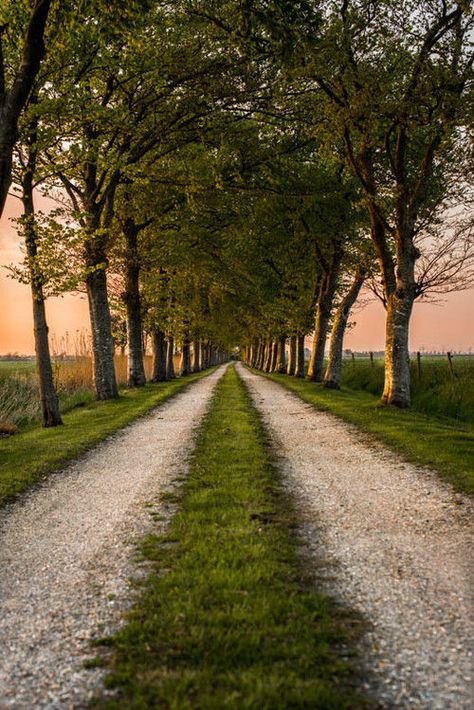 A Good Thing Happened Wow Photo, Back Road, Dirt Road, Nature Aesthetic, Pretty Places, Country Life, Beautiful World, Beautiful Landscapes, In The Middle