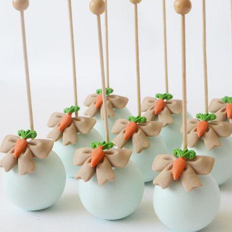 Rabbit Cake Pops, Peter Rabbit Cake, Peter Rabbit Birthday, Peter Rabbit Party, Rabbit Cake, Bunny Baby Shower, Rabbit Baby, Baby Easter, Pirate Party