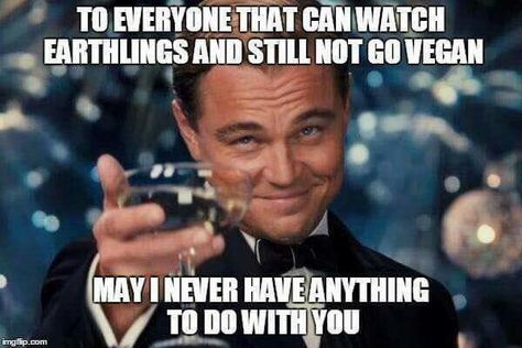 Leonardo DiCaprio vegan meme #earthlings Aviation Humor, Vegan Memes, Vegan Quotes, Vegan Humor, Flirting Memes, Flirting Humor, Flirting Quotes, Intj, Leonardo Dicaprio