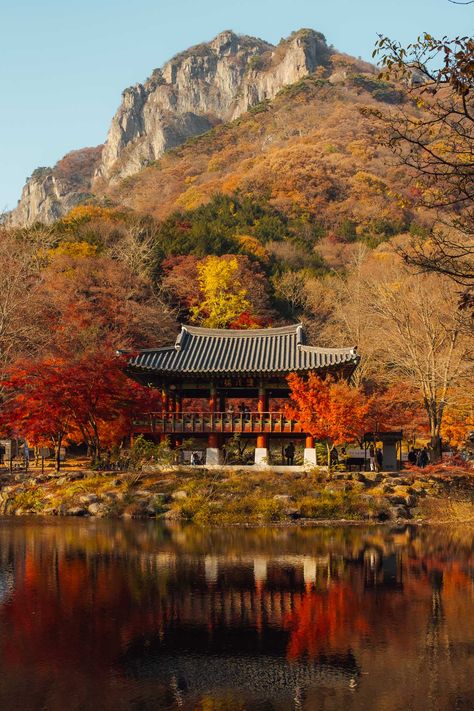 Beautiful Places In South Korea, Places In South Korea, Visit South Korea, Autumn In Korea, Trip Itinerary, Road Trip Itinerary, East Asia, Most Beautiful Places, South Korea