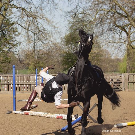 Falling Off Horse, Horse Falling, Falling Photography, Horse Fails, Horses Jumping, Sarah Stone, Household Cavalry, Olive Green Background, People Falling