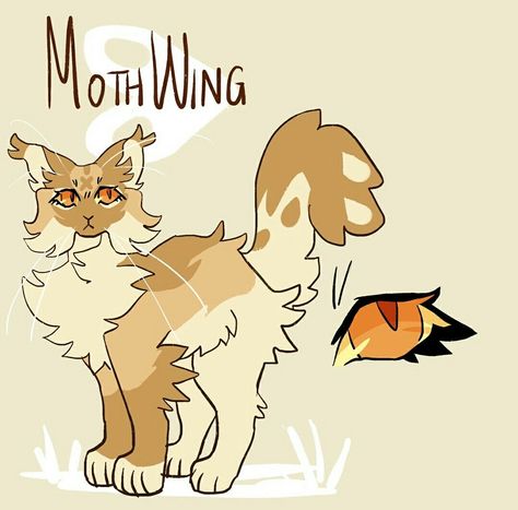 Warrior Cats Series, Warrior Cats Fan Art, Cat Jokes, Warrior Cat Drawings, Warrior Cat Oc, Cat Oc, Cat Reference, Cat Sketch, Warrior Cats Art