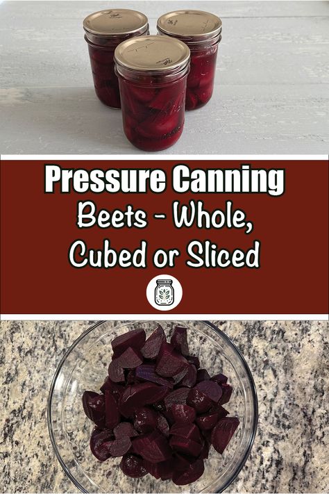 Master the art of pressure canning beets with our comprehensive guide, whether you prefer them whole, cubed, or sliced. Perfect for home preservers, this tutorial walks you through every step to ensure your beets are perfectly preserved. Ideal for anyone using a pressure canner, this guide will help you maintain the freshness and flavor of your beets. Visit PreservingGuide.com for detailed instructions and tips. #Canning #FoodPreservation #PressureCanning #BeetRecipes #HomeCanning Canning Beets, Canning Water, Cooking Beets, Pressure Canning Recipes, Fresh Beets, Pressure Canner, Beet Recipes, Home Canning, Green Bean Recipes