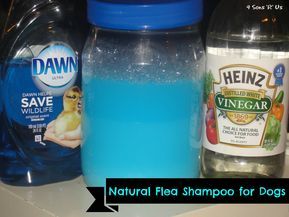 4 Sons 'R' Us: Natural Flea Shampoo For Dogs Flea Shampoo For Dogs, Flea Shampoo For Cats, Flea Remedies, Pet Remedies, Flea Shampoo, Short Haired Dogs, Flea Spray, Dog Remedies, Long Haired Dogs