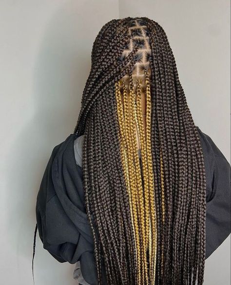 Picaboo Hair Color Braids, Black And Gold Peekaboo Braids, Honey Brown Peekaboo Braids, Peekaboo Braids, Brown Box Braids, Peekaboo Hair Colors, Black Box Braids, Box Braid Hair, Colored Box Braids