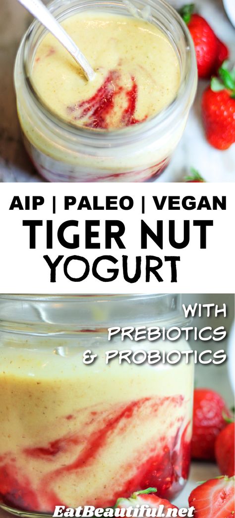 Naturally sweet and dairy-free, Tigernut Yogurt is Paleo, Vegan, AIP and free of coconut, grains and nuts. This delicious probiotic and prebiotic treat takes just 15 minutes to assemble and is done culturing in one day or overnight. | Eat Beautiful | tiger nut yogurt | recipe | paleo goodness | paleo yogurt recipe | aip yogurt | vegan yogurt | tiger nut recipes | tiger nut | yogurt | instant pot || #tigernut #yogurt #paleo #aip #vegan #instantpot Aip Yogurt, Paleo Yogurt, Yogurt Instant Pot, Tigernut Recipes, Probiotic And Prebiotic, Surgery Prep, Aip Vegan, Tiger Nut, Tigernut Flour