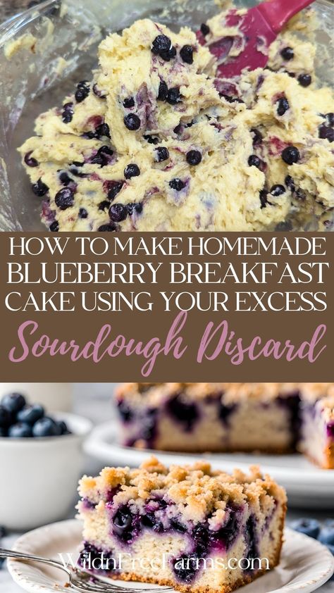 sourdough discard blueberry coffee cake Sourdough Discard Breakfast, Sourdough Discard Blueberry, Using Sourdough Discard, Avocado Sandwiches, Recipe Using Sourdough Starter, Blueberry Breakfast Cake, Sourdough Starter Discard Recipe, Blueberry Coffee Cake, Blueberry Coffee