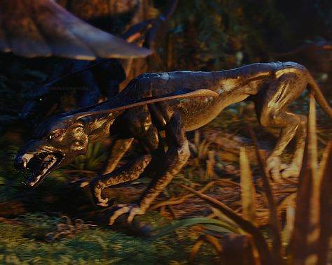 Viper Wolf (Nantang), from “Avatar” (2009). Viper Wolf Avatar, Wolf Avatar, Pandora Animals, Avatar Creatures, Avatar 3, Avatar Animals, Avatar 2009, Avatar Pandora, Avatar Dr