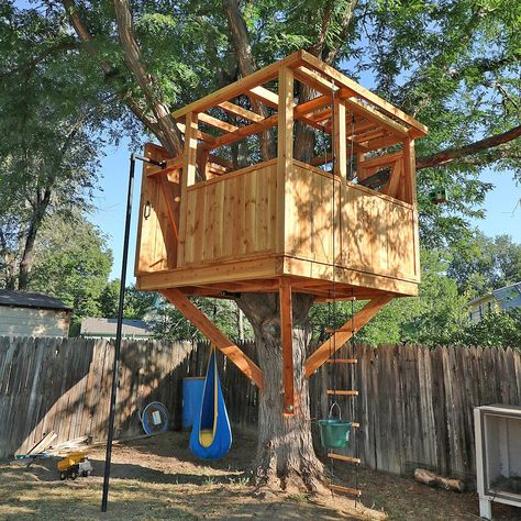 Honey Locust — Treecraft Design-Build Custom Treehouses Grown Up Tree House, Treehouse Zipline Tree Forts, Connected Treehouses, Treehouse Schoolhouse, Shademaster Honeylocust Tree, Custom Treehouse, Honey Locust, Tree House, Honey