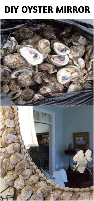 DIY Oyster Shell Mirror Shells On Mirror Diy, Oyster Shell Vase, Oyster Shell Mirror Diy, Wisteria Mirror, Oval Mirror Diy, Oyster Mirror, Diy Oyster Shell, Oyster Shell Mirror, Shell Mirrors