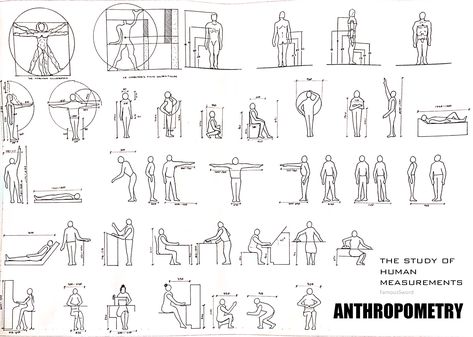 A set of drawings regarding the spaces and it's measurements that humans occupy during their daily actions. Body Dimensions Drawing, Anthropometry Human Sketch, Body Sketching, Sketching Architecture, Human Dimension, Human Sketch, Human Body Drawing, Human Figure Sketches, Interior Architecture Drawing