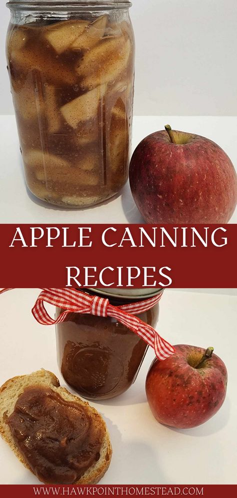 Apple harvest season in the fall is so much fun and there is so many things to do with apples! Apple picking at a local apple orchard is a great fall activity.  Canning apple recipes result in great gifts! Preserving the bounty of the apple harvest to enjoy all winter or all year long is a great way to save money. And these apple canning recipes can be made in minutes. Preserving Apples Canning, Different Ways To Freeze Apples, Fresh Apple Canning Recipes, Apple Preserves Recipe Canning, Different Ways To Can Apples, Apple Recipes Canning, Canning Fried Apples, Apple Recipes To Can, Apple Syrup Recipe Canning