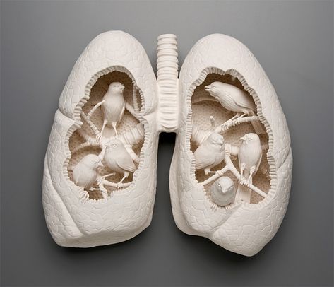 In her delicate crafted porcelain sculptures conceptual artist Kate McDowell expresses her interpretation of the clash between the natural world and the modern-day environmental impact of industrialized society. The resulting works can be equal parts amusing and disturbing as the anatomical forms of humans and animals become inexplicably intertwined in her delicate porcelain forms. Kate Macdowell, Lungs Art, Frida Art, Porcelain Art, Form Design, Sculpture Installation, Lungs, Art Plastique, Ceramic Sculpture