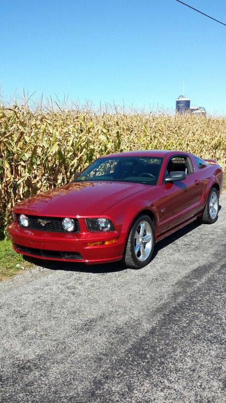 '06 Mustang GT 06 Mustang, Mustang Interior, Car Ideas, Interior Aesthetic, Ford Mustang Gt, First Car, Mustang Gt, Ford Mustang, Dream Cars