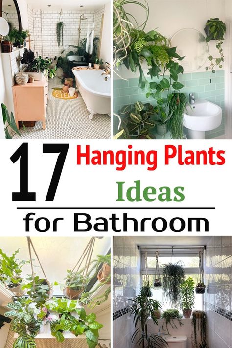 Using these awesome Hanging Plants Ideas for Bathrooms you can bring a touch of greenery and enjoy nature while having a relaxing bath! Hanging Plant In Bathroom Ideas, Bathroom Plant Hanging, Plants Hanging From Ceiling Bathroom, How To Hang Plants In Bathroom, Hanging Plants Shower Ceiling, Plant Ideas For Bathroom, Plants In The Shower Bathtubs, Hanging Plants Over Tub, Hanging Plant In Shower Ideas