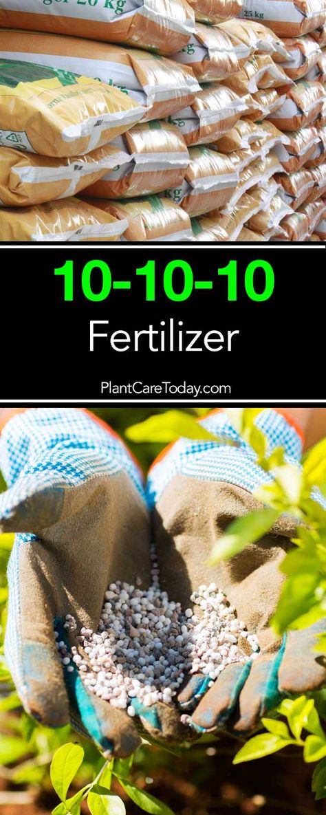 10-10-10 fertilizer with equal amounts of nitrogen (N), phosphorus (P), and potassium (K), is a popular complete fertilizer on the market. [LEARN MORE] Plant Growing Tips, Kitchen Garden Ideas, Raised Bed Gardens, Creative Upcycling, How To Make Compost, Best Vegetables, Types Of Herbs, Hydrangea Care, Homesteading Ideas