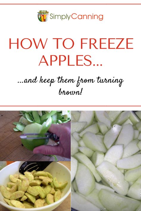 Learn how to freeze apple slices for use in pies and other baked treats! Use this quick method from SimplyCanning.com Can I Freeze Apples, How To Freeze Sliced Apples, How To Preserve Sliced Apples, How To Freeze Fresh Apples, How To Preserve Apple Slices, Freezing Apples For Apple Crisp, Freezing Apple Slices, How To Freeze Apples Slices, Freeze Apples Slices