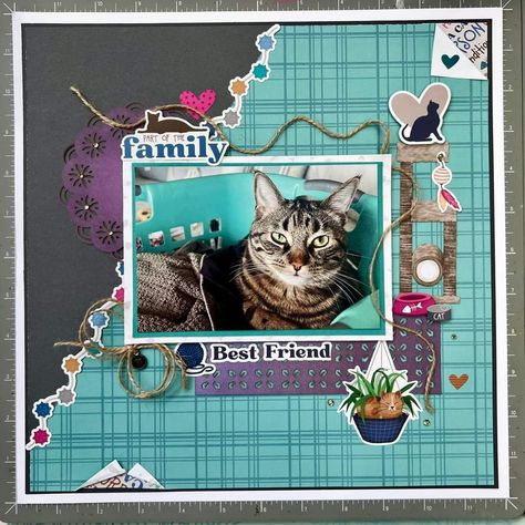 Cat Scrapbooking Layouts, Cat Scrapbook Layouts, Cat Scrapbook, Pet Scrapbook Layouts, Picture Cat, Pet Scrapbook, 3 Picture, Scrapbooking Layouts, Scrapbook Layouts