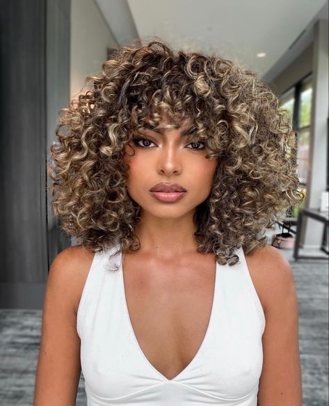 High Light Curly Hair, Curly Hair With Bangs Highlights, Hi Lights On Curly Hair, Curly Bangs Highlights, Curly Hair Bangs Highlights, Hair Color For Curly Hair Natural Curls Highlights, Honey Blonde Highlights Curly Hair Black Women, Curly Hair With Highlights And Bangs, Light Highlights Curly Hair