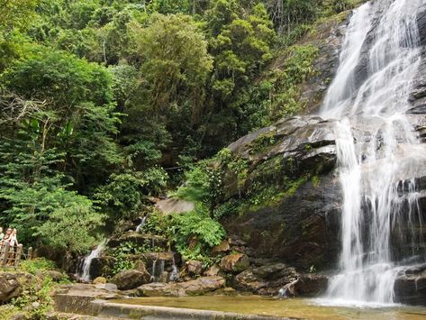 Tijuca National Park | Travel + Leisure Tijuca National Park, Trip To Brazil, متحف فني, National Park Travel, Brazil Travel, America Latina, Exotic Places, National Parks Trip, South Central