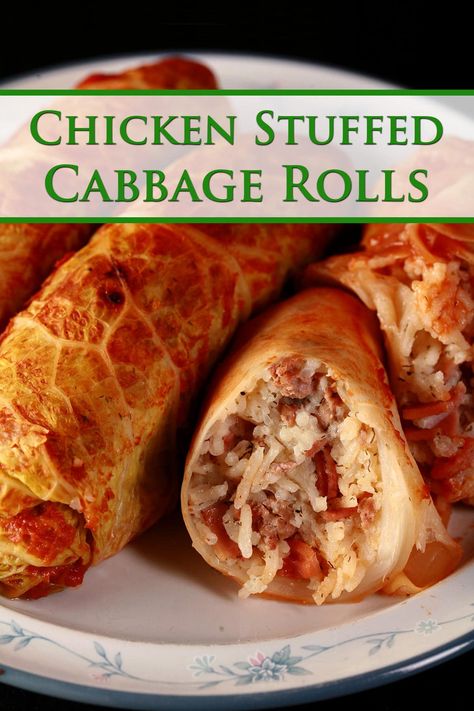 Chicken Cabbage Rolls, Rolled Chicken Recipes, Rolls Recipe Easy, Chicken Cabbage, Cabbage Wraps, Alfredo Sauce Recipe Easy, Chicken Roll Ups, Chicken Wrap Recipes, Chicken And Cabbage