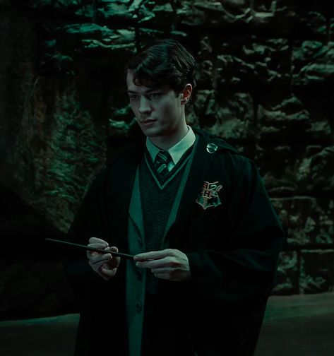 Voldemort Aesthetic, Harry Potter Voldemort, Mattheo Riddle, Harry Potter Tumblr, Tom Riddle, S N, Hogwarts, Harry Potter, Tumblr